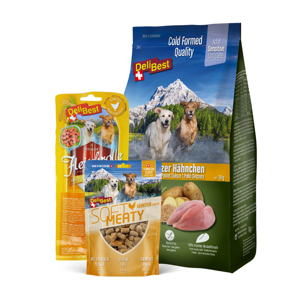 Jeden Tag etwas Gutes Huhn - DeliBest Paket für Hunde
