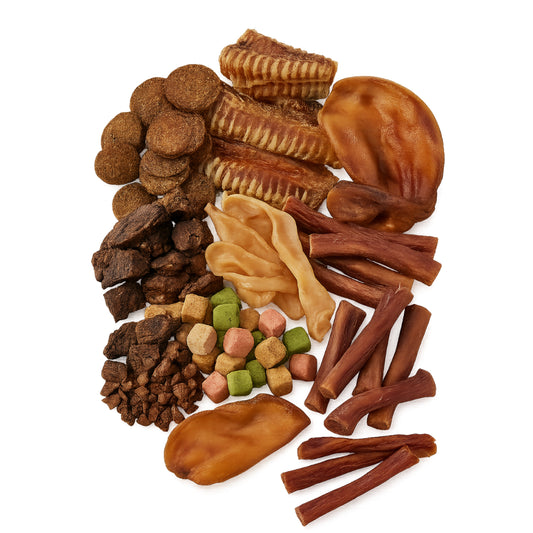 Kauartikel Special Mix für Hunde – 100 % Natur, zahnpflegend & proteinreich