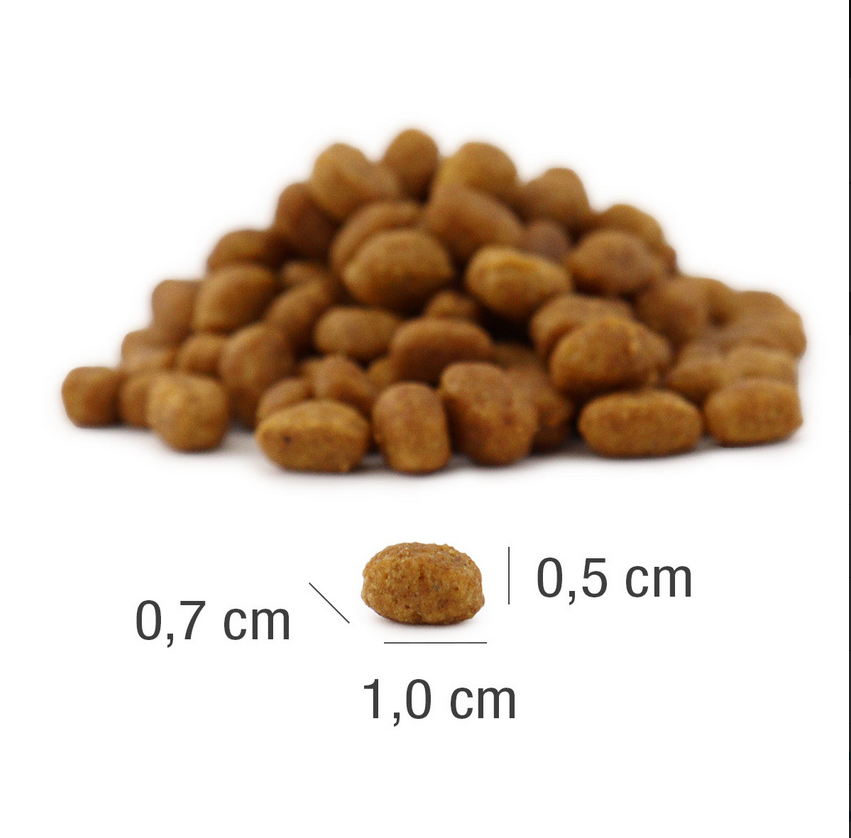 Meat Crisp Sterilised Fish Katzen Trockennahrung 82% Fisch Taurin optimiert