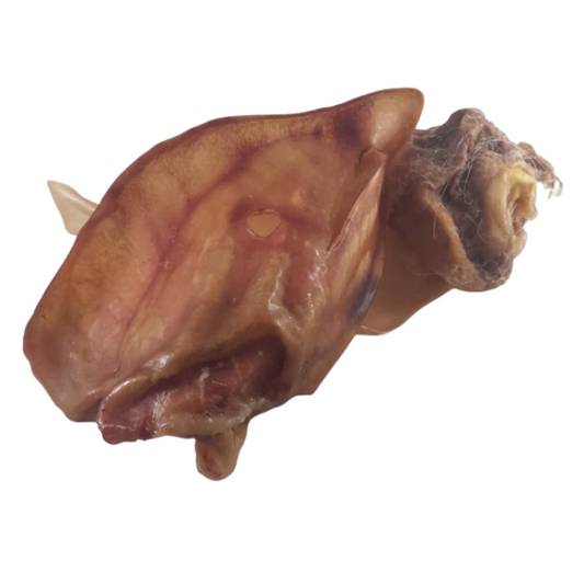 Rinderohren klein oder groß mit Muschel