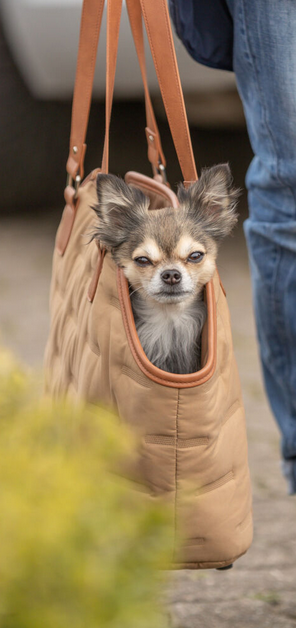 Tasche Cassy Trixie 18x30x50 bis 7 Kg Hunde