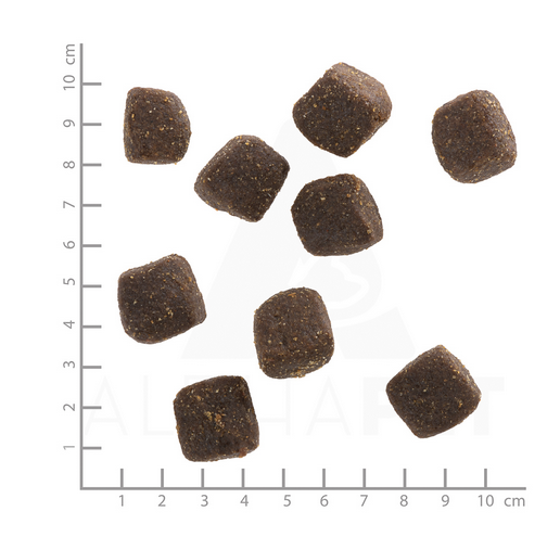 Wolfsblut Squashies Black Marsh