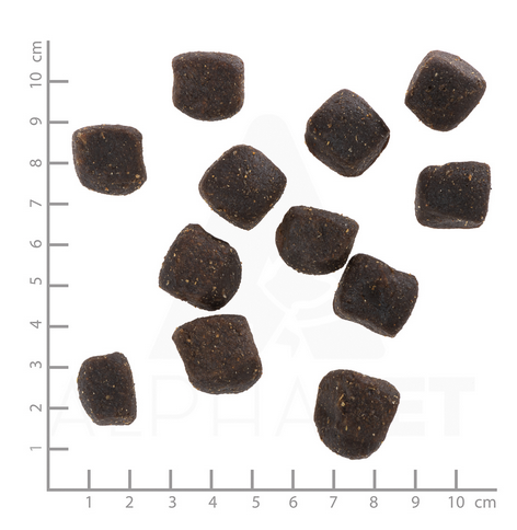 Wolfsblut Blue Mountain 1