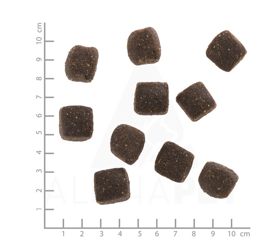 Wolfsblut Squashies Cold River