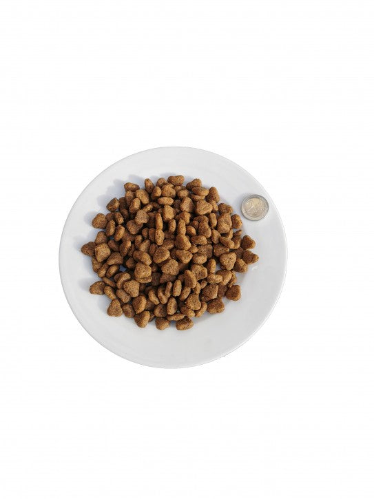 Huhn & Kartoffeln Hypoallergen Monoprotein Getreidefrei aktiv