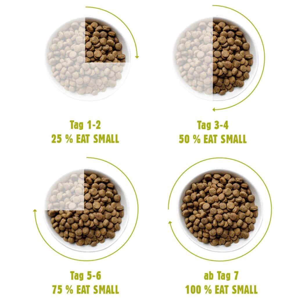 WALD/Active 100 g – Proteinreiches Trockenfutter aus Insekten für Hunde