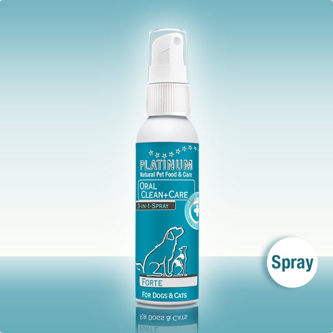 PLATINUM Oral Clean and Care Spray FORTE Zahnpflege
