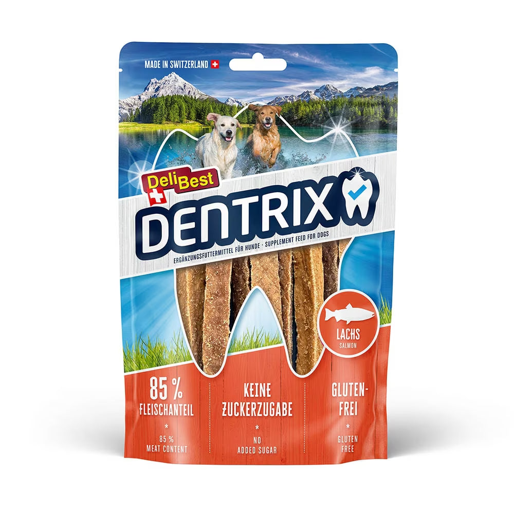 DeliBest Zahnpflege Zahnreinigung Hund 70g Lachs