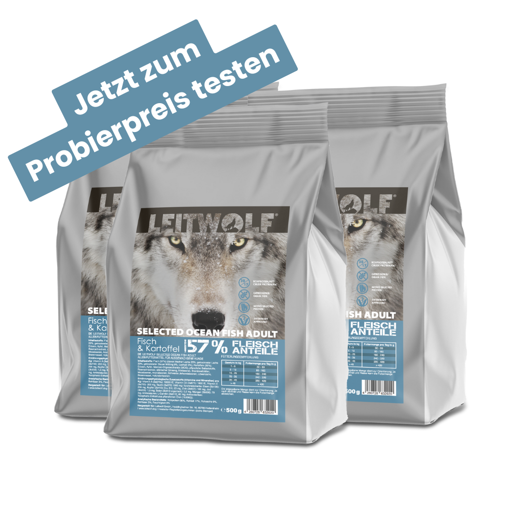 Leitwolf Selected Ocean Fish Adult  - Probierpaket 3x500g Hinweis: Nur einmal pro Kunde erhältlich!