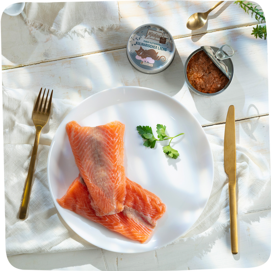 MjAMjAM – purer Filetgenuss – kulinarischer Lachs