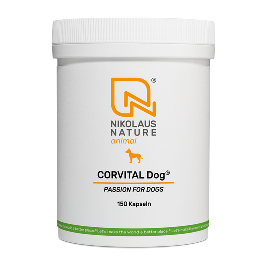 CORVITAL Dog 160 g