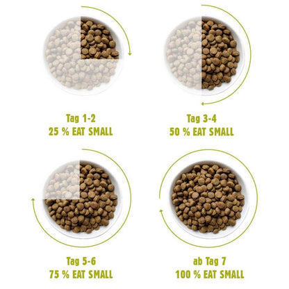Eat Small WALD/Active  2 kg – Proteinreiches Trockenfutter aus Insekten für  Hunde